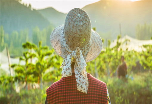 鄉(xiāng)村健康養(yǎng)生產(chǎn)業(yè)的客戶(hù)群體有哪些？它有什么開(kāi)發(fā)要點(diǎn)？