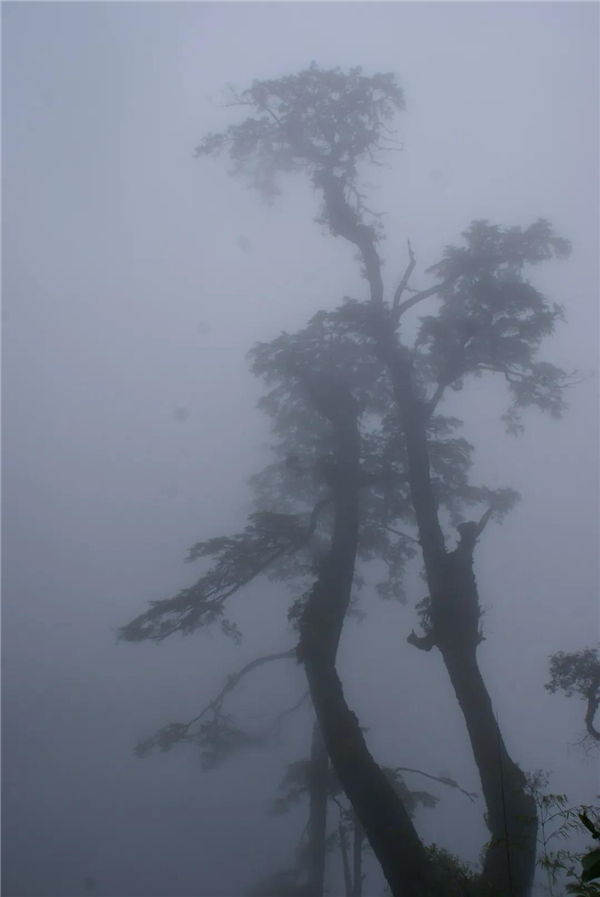 怒江旅游 怒江旅游