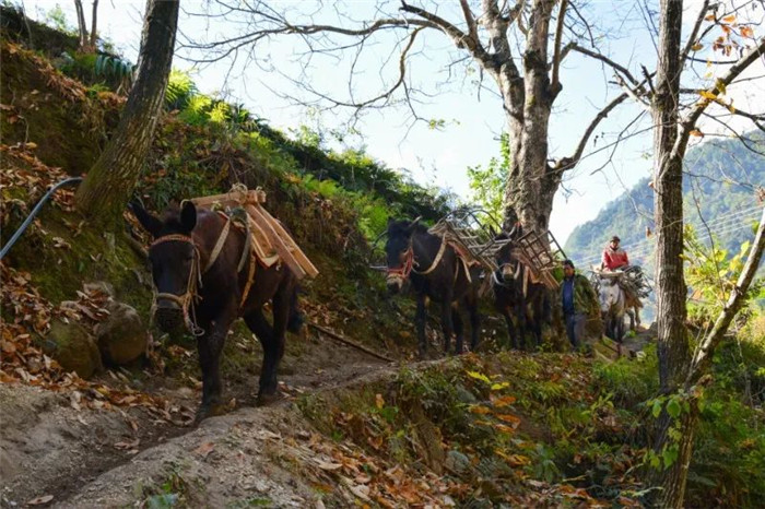 怒江旅游景點(diǎn) 怒江旅游景點(diǎn)