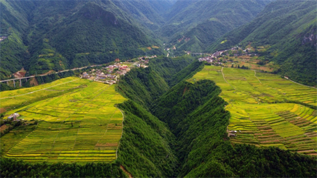 有一種生活叫云南的怒江丨怒江峽谷里肥美的稻花魚(yú)